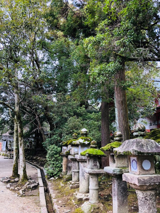 不懂日语可以去日本打工吗,不会日语能在日本自由行吗