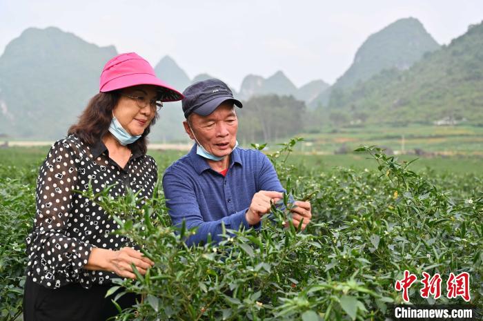 台湾辣椒大王是谁,辣椒大王台湾