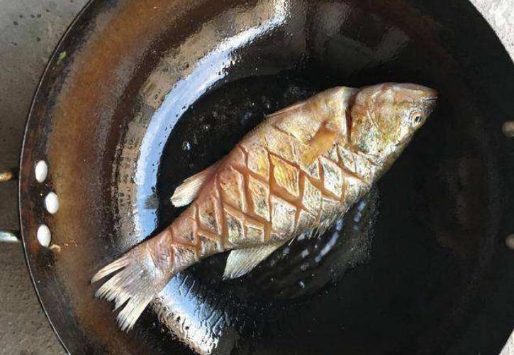 油锅煎鱼的正确方法,煎鱼时可别直接下油锅记住这3点