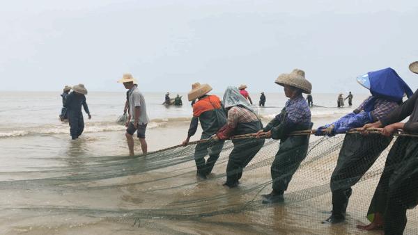 吴阳海鲜直播,吴阳金海岸出海直播