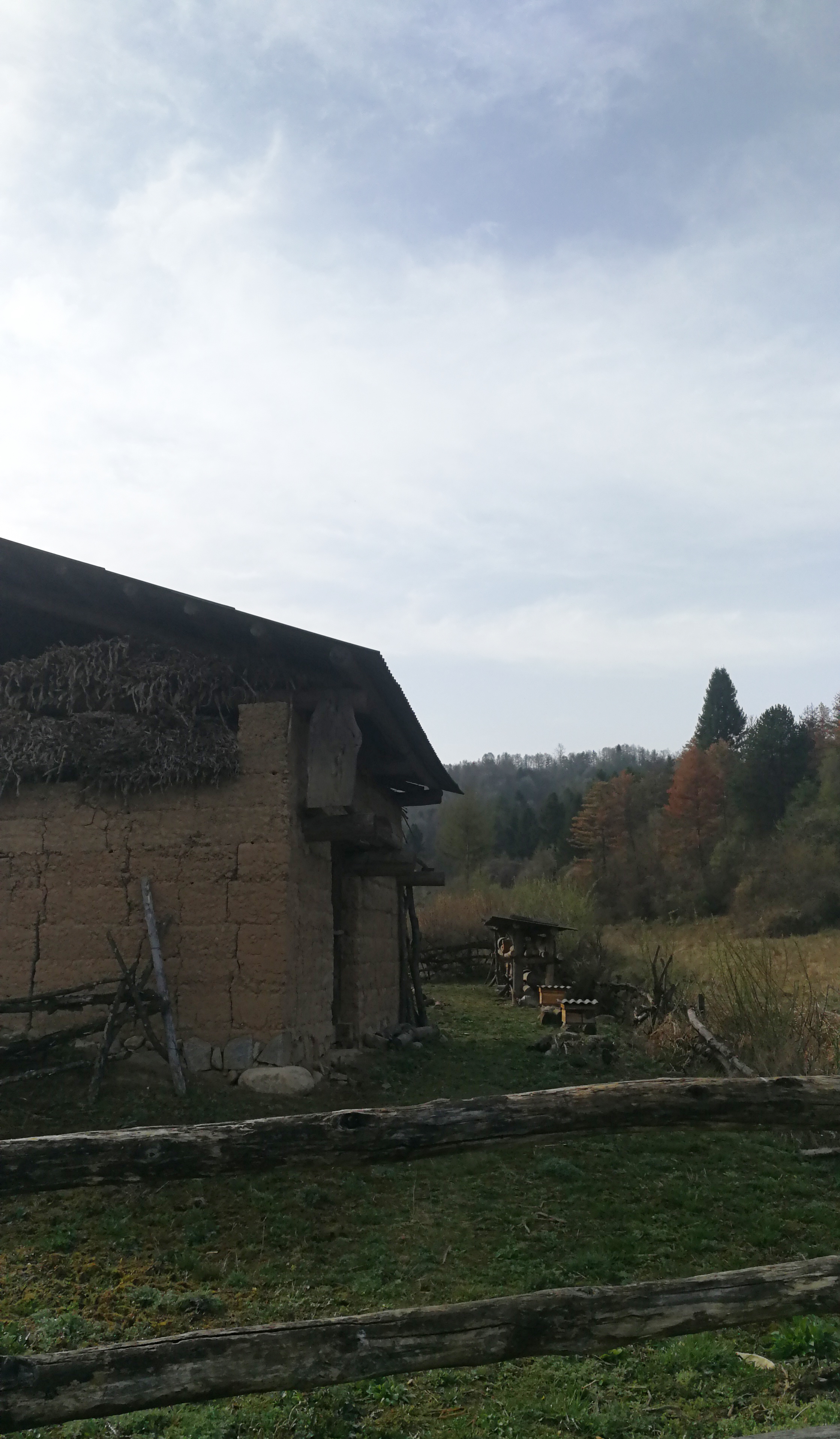 西安周至踏青赏花的路线攻略,周至老县城旅游攻略