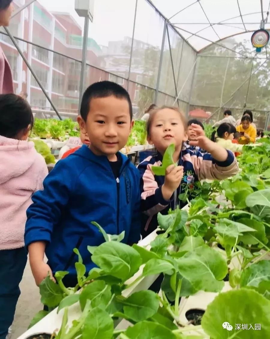 深圳福田幼儿园晚托机构,深圳公立幼儿园晚托班