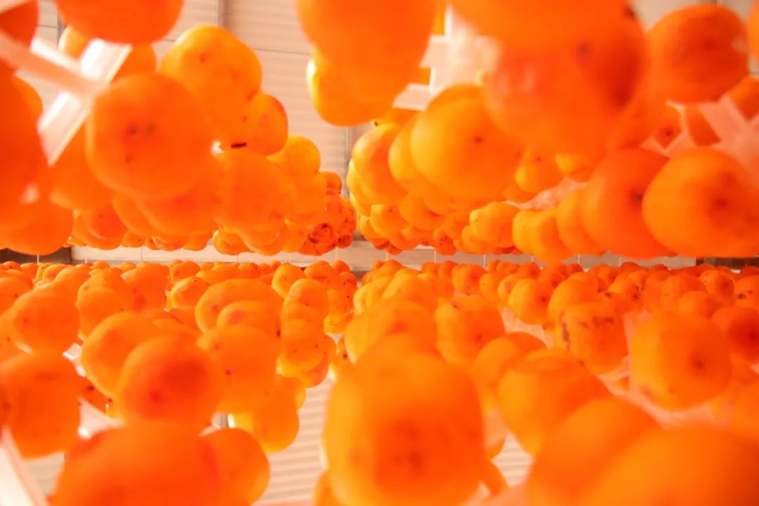 柿子红了美了家乡,柿子红了乡村