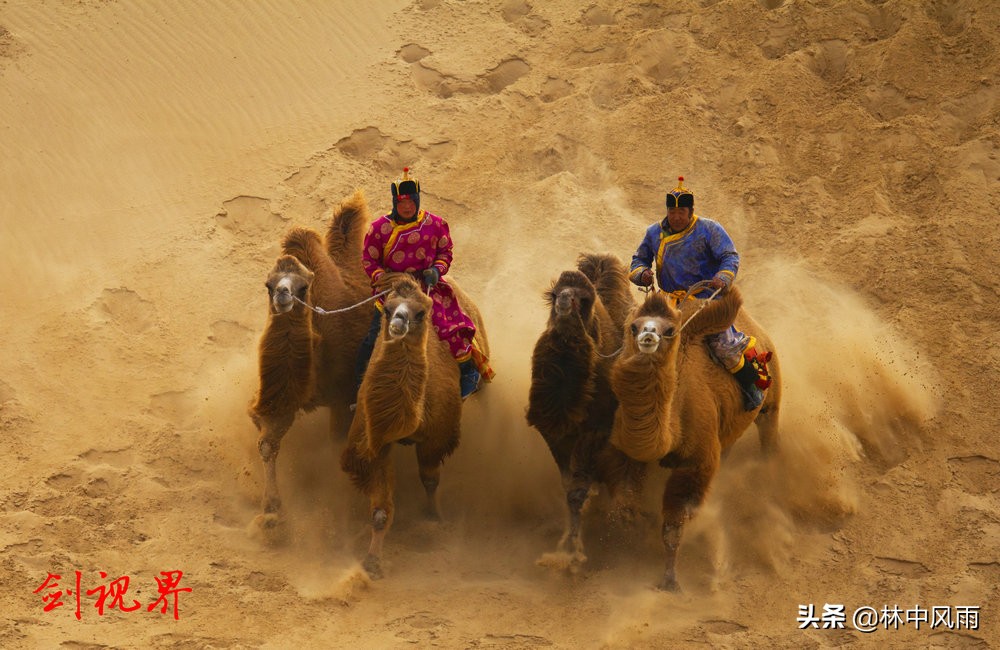 通辽奈曼沙漠,奈曼旗沙漠风景视频