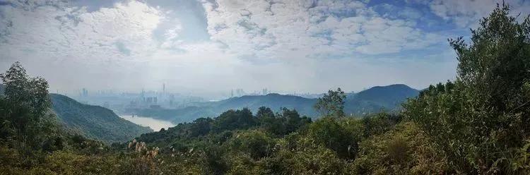 深圳首条手作“原始登山道”,人少好爬景色超美…过年去哪不用愁