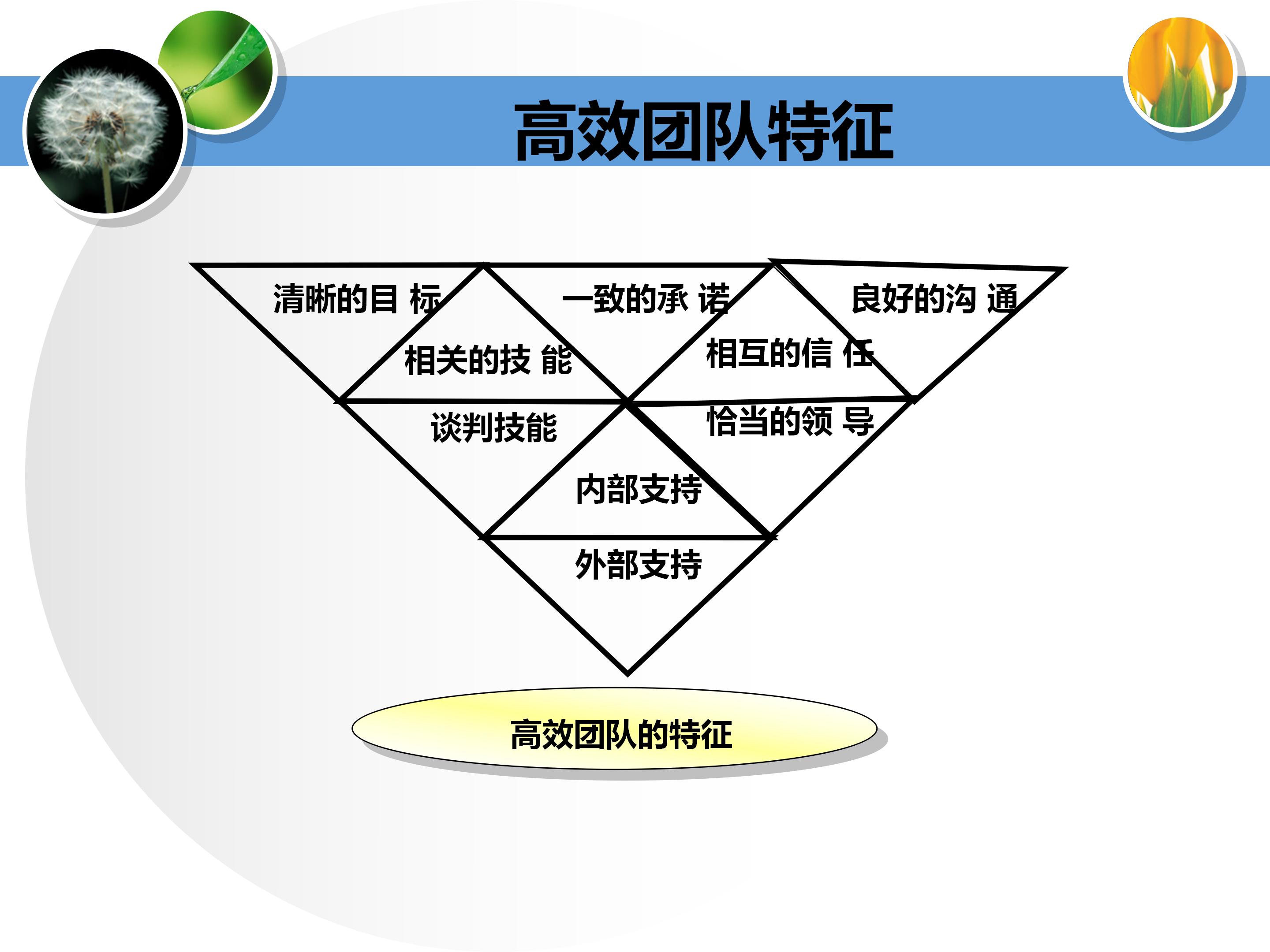 个人与团队管理打造高绩效团队,团队建设建议及个人成长