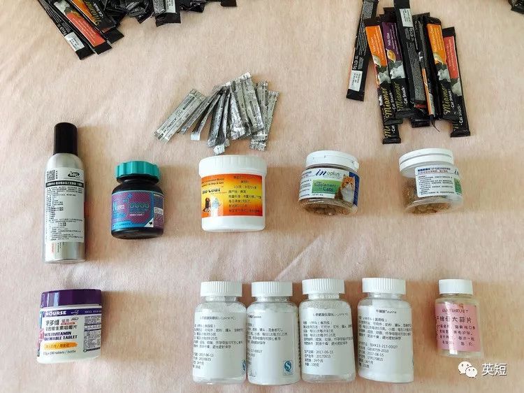 养猫必备清单之猫零食,养猫必备品清单大全