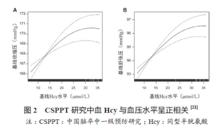 中国高血压防治指南同型半胱氨酸,同型半胱氨酸引起的高血压占70%