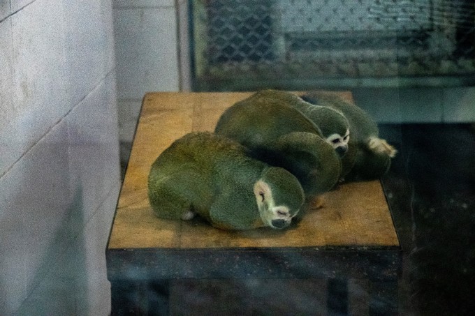 儿童亲子游怎么玩,室内亲子游必玩100例