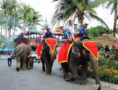 适合暑假带孩子亲子游玩的地方,适合放假带娃玩的地方冬天