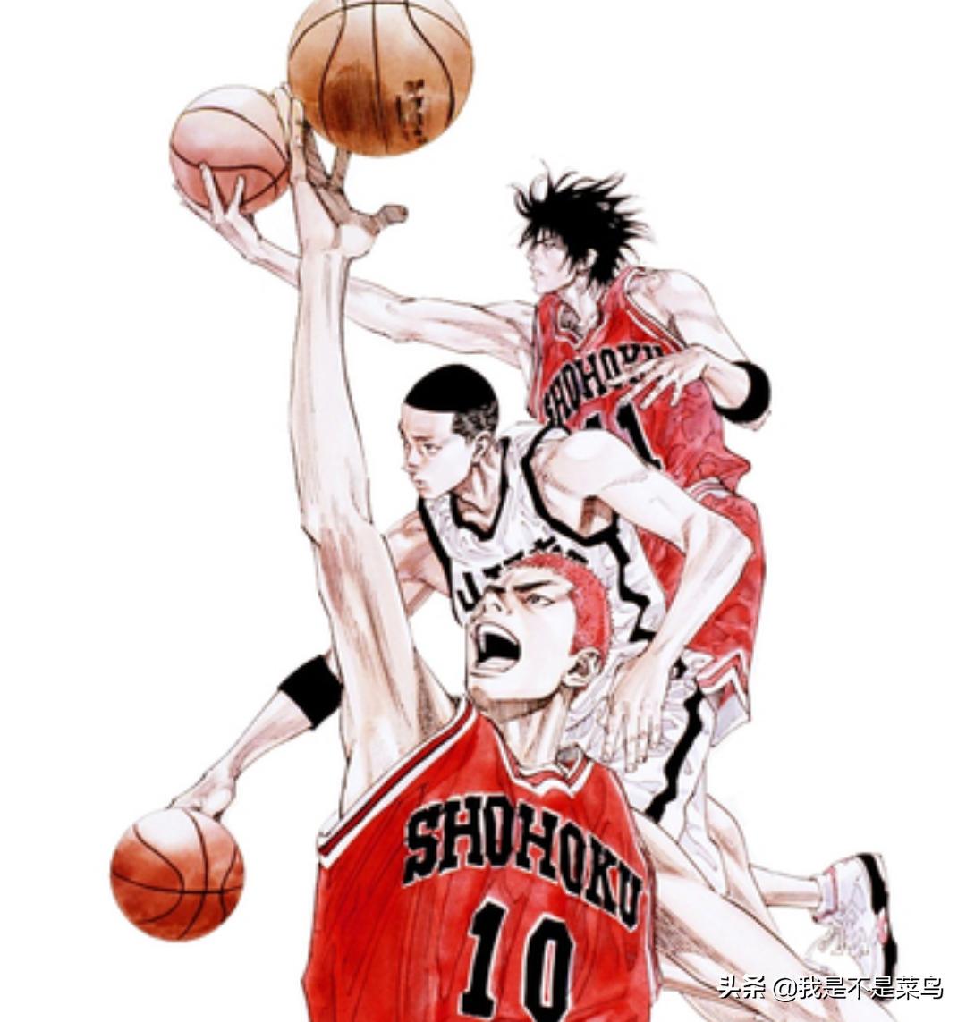 樱木花道和森重宽交手,灌篮高手森重宽对樱木花道的评价