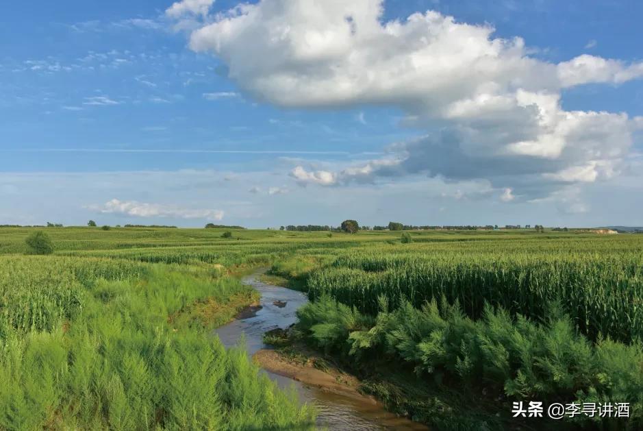 李寻谈酒怎么样,李寻谈酒中国白酒有品牌吗