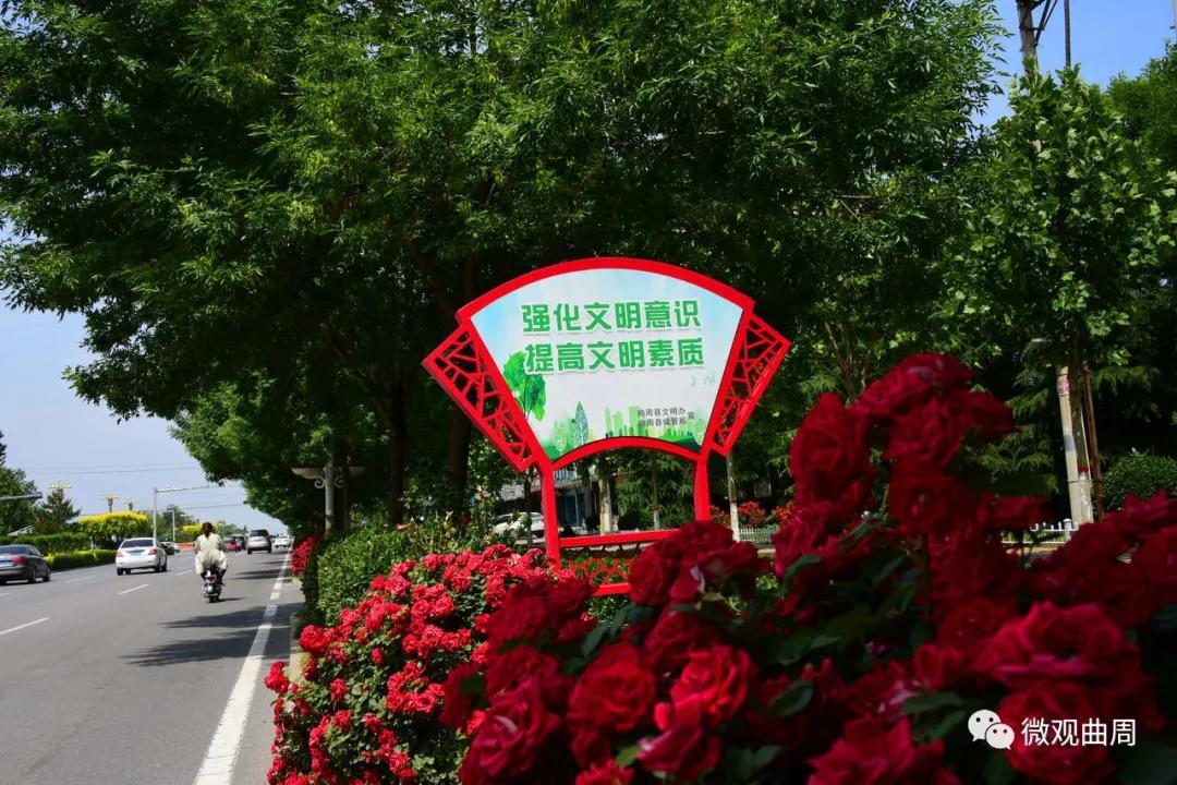 增添城市文明气质公益广告,公益广告宣传让城市更文明