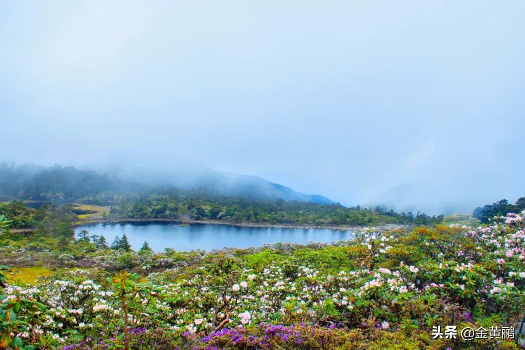 为什么云南女人长相好看,云南真的很漂亮吗