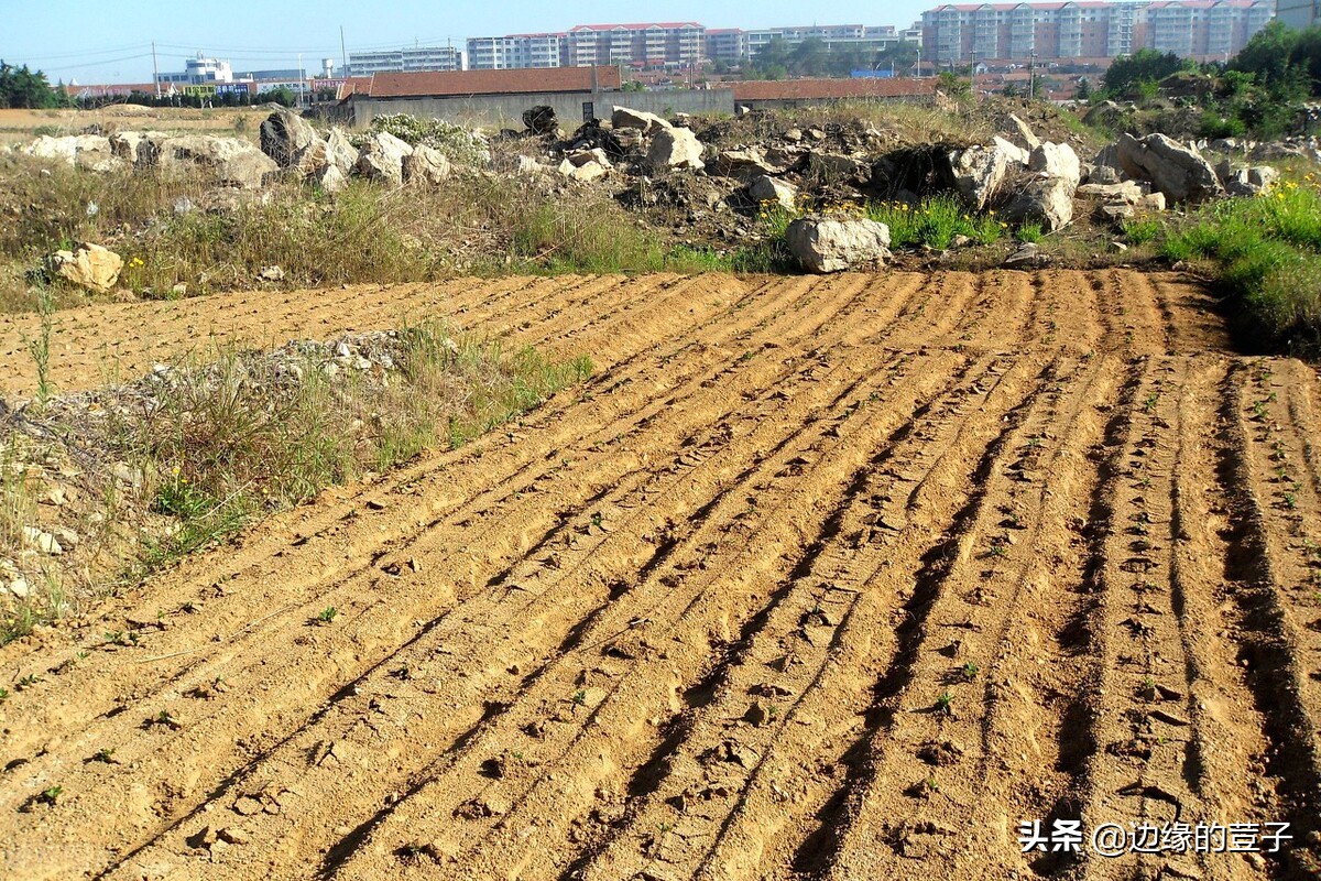 7月份,农村耕地“三不准”落地,集中清理“地闲房空人荒”问题