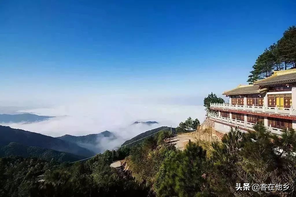 本港台播放过的动画,本港台曾经推出的纪录片