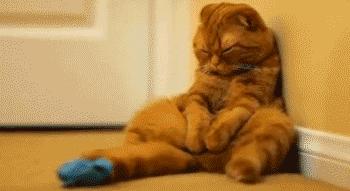 靠墙站燃脂塑形,20分钟站立燃脂