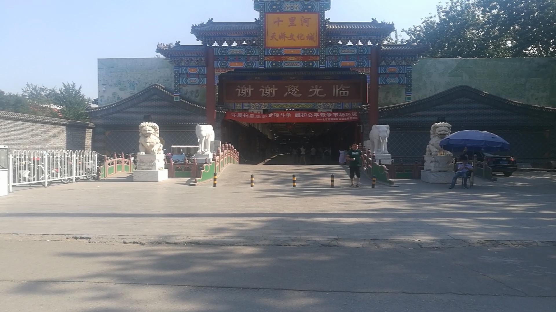 北京十里河鱼市,都说它拆了,我却看到了综合性的水族市场