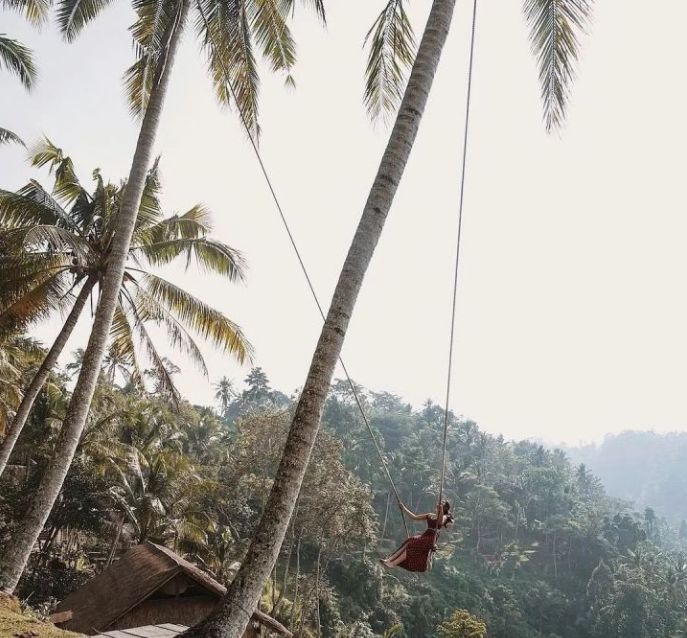 亲测巴厘岛|是时候聊聊它的正面目