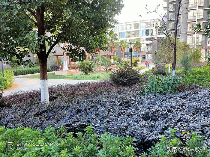 realmex2上手体验视频,realmex2手感咋样