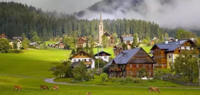 移民奥地利的真实感受,移民奥地利真实现状