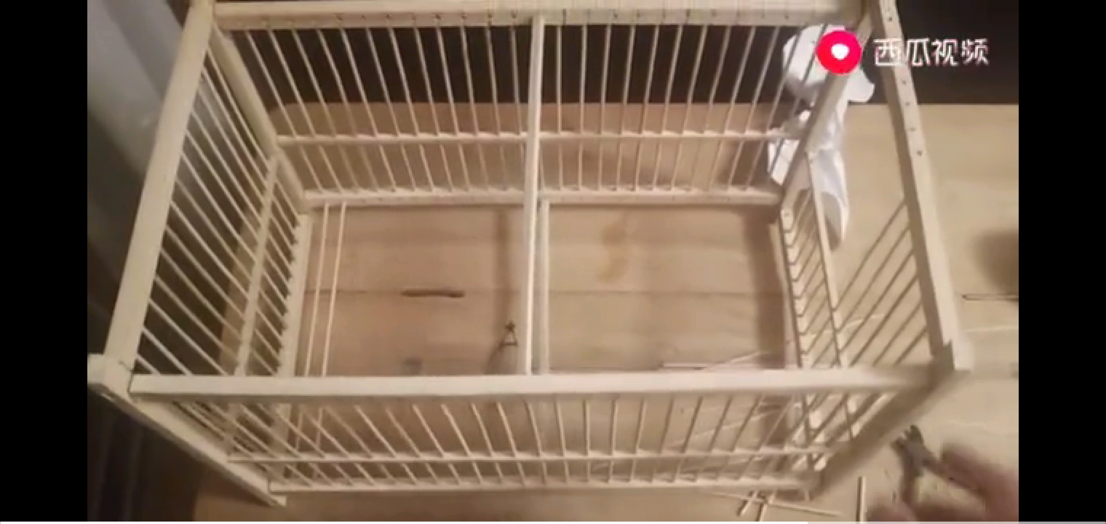 鸟笼制作,制作鹦鹉鸟笼