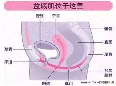 卸货后肚子鼓起来,卸货以后的肚子