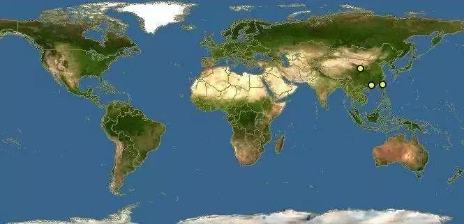 谁杀死了“大鱼”？——生死中华鲟