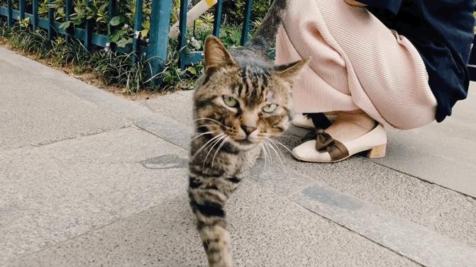 我的旅游拍摄vlog设备踩坑经验手记,平民向