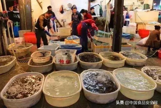 鱼虾被监测出违禁兽药!对人体健康危害究竟有多大?