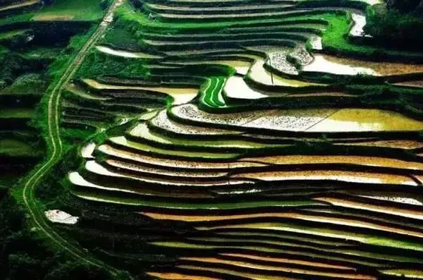 重庆五一冷门自驾,重庆出发自驾8日游攻略路线推荐