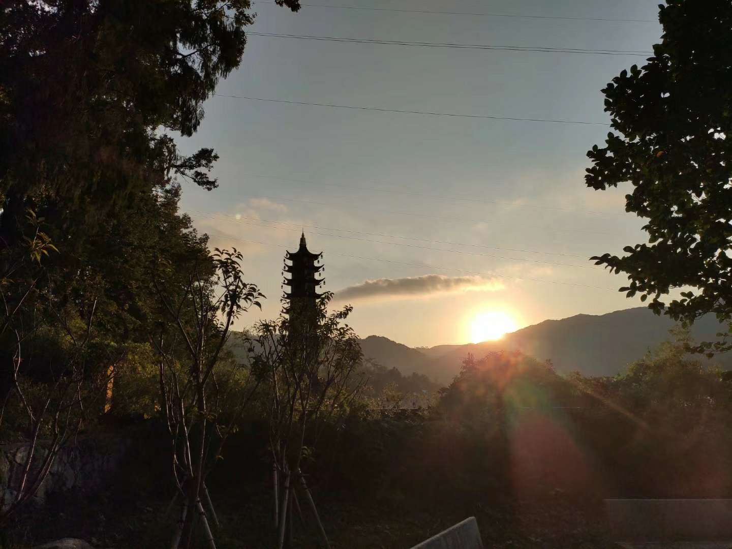 飞狼第一季电视剧全集,小说连载飞狼第一部第一章