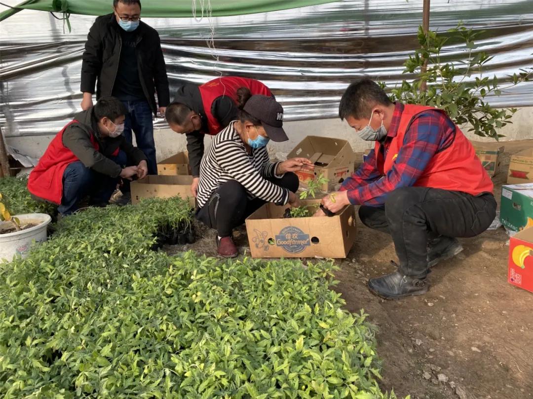 农技员下乡指导春耕,春耕农技服务送下乡