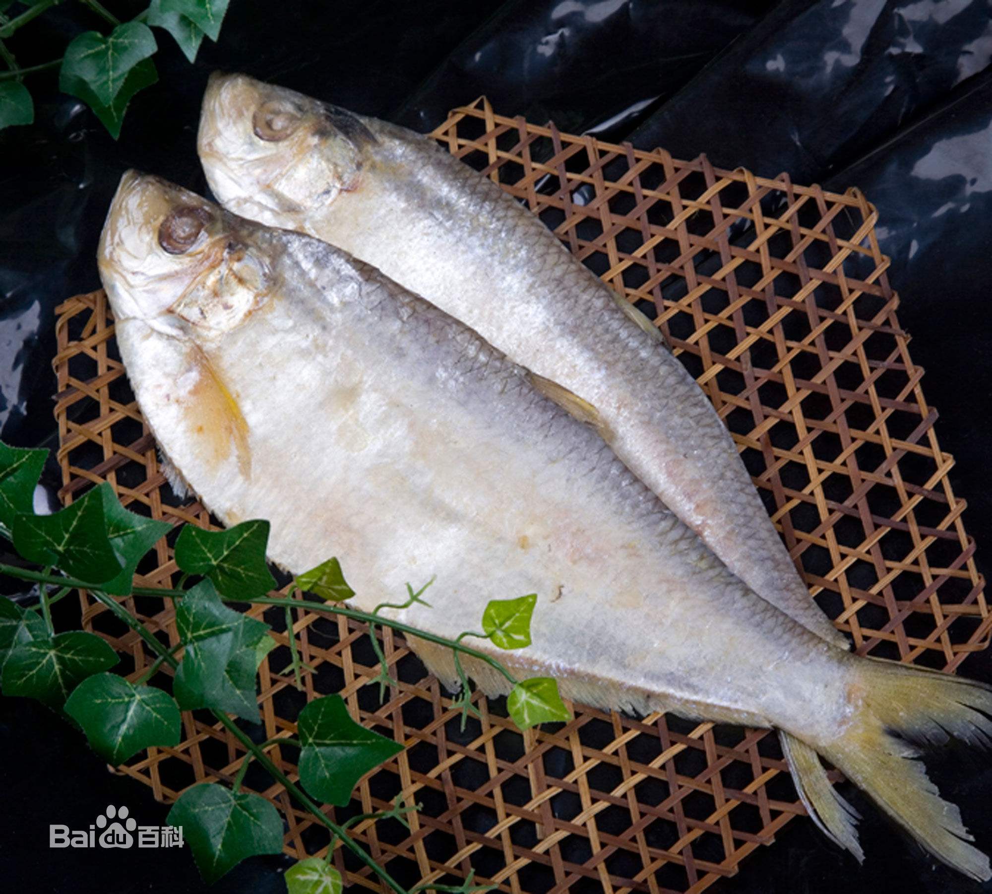 虾籽鲞鱼谁家好吃,苏州采芝斋的虾籽鲞鱼好吃吗