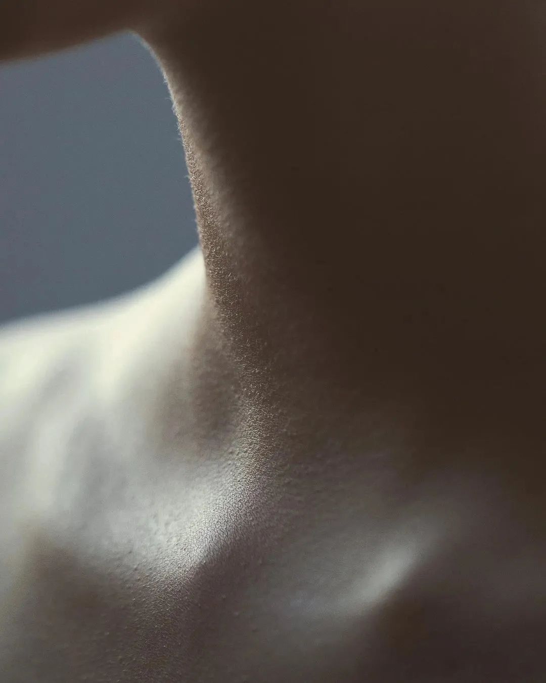 这些情而不色的「局部特写」，也太高级了吧