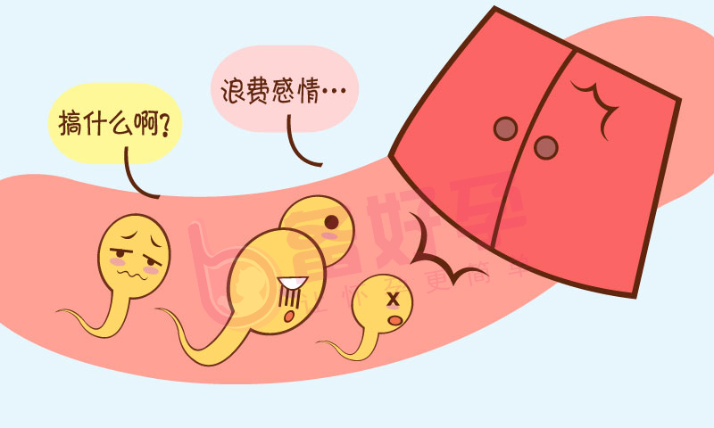 受孕只需要一颗精子吗,精子达到什么标准才能受孕