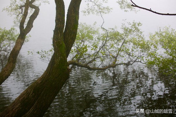 大洪山白龙池,大洪山风景名胜区白龙池