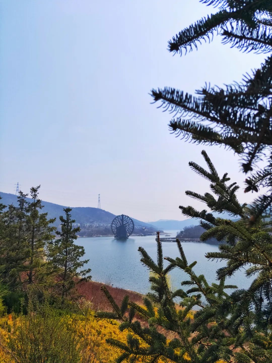 西郊山林休闲养生度假公园,休闲好去处西郊森林公园