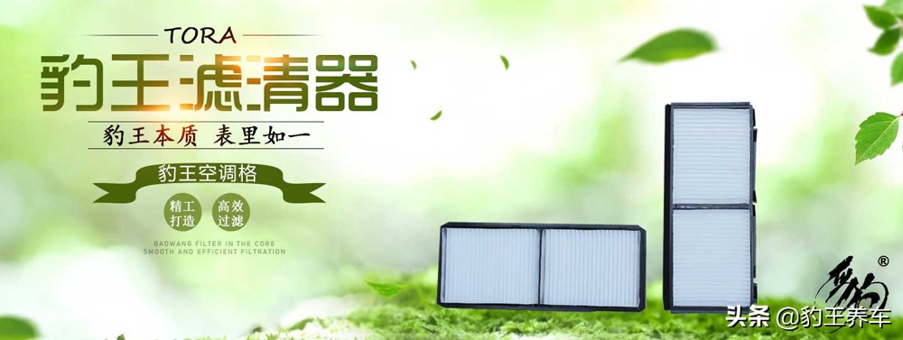 较真儿最新视频,豹王的机滤可以撑多久