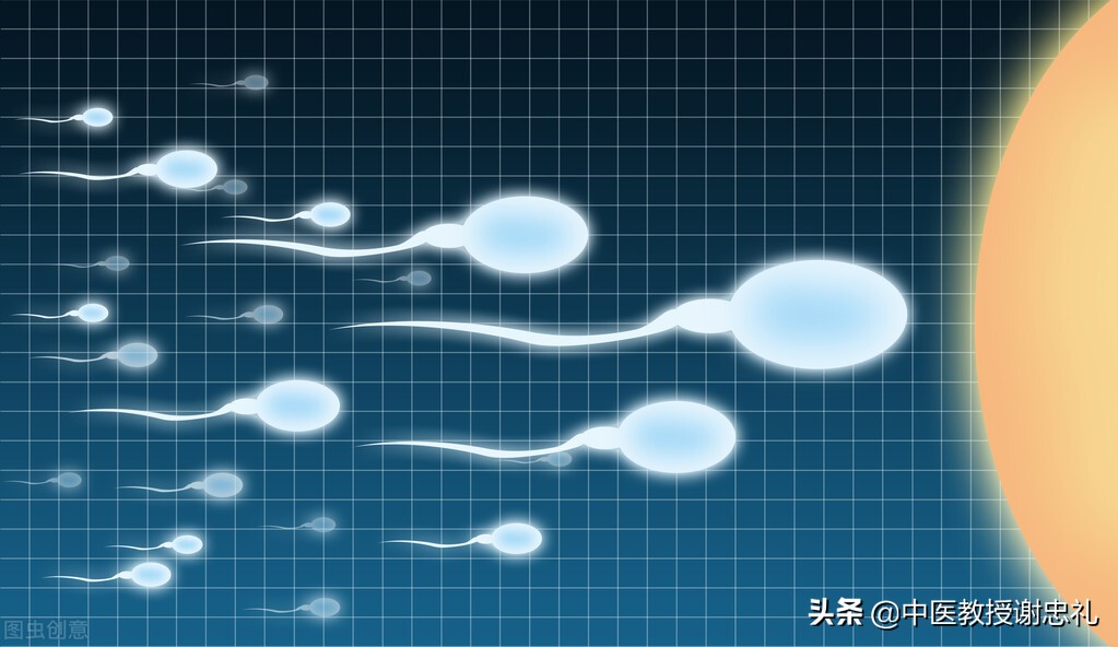 中医血的主要生理功能,血精症中医说法