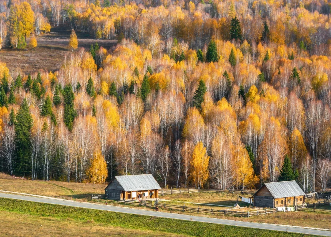 适合秋天自驾游的路线推荐一下,秋天皖南川藏线自驾游攻略