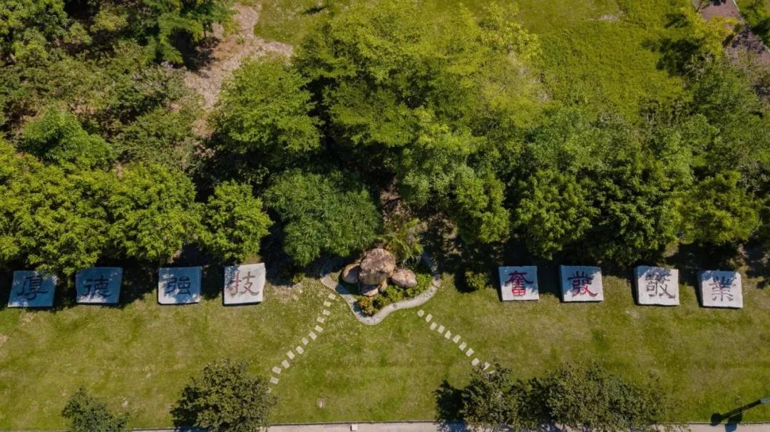 河源职业技术学院春考录取分数线,河源职业技术学院分数线