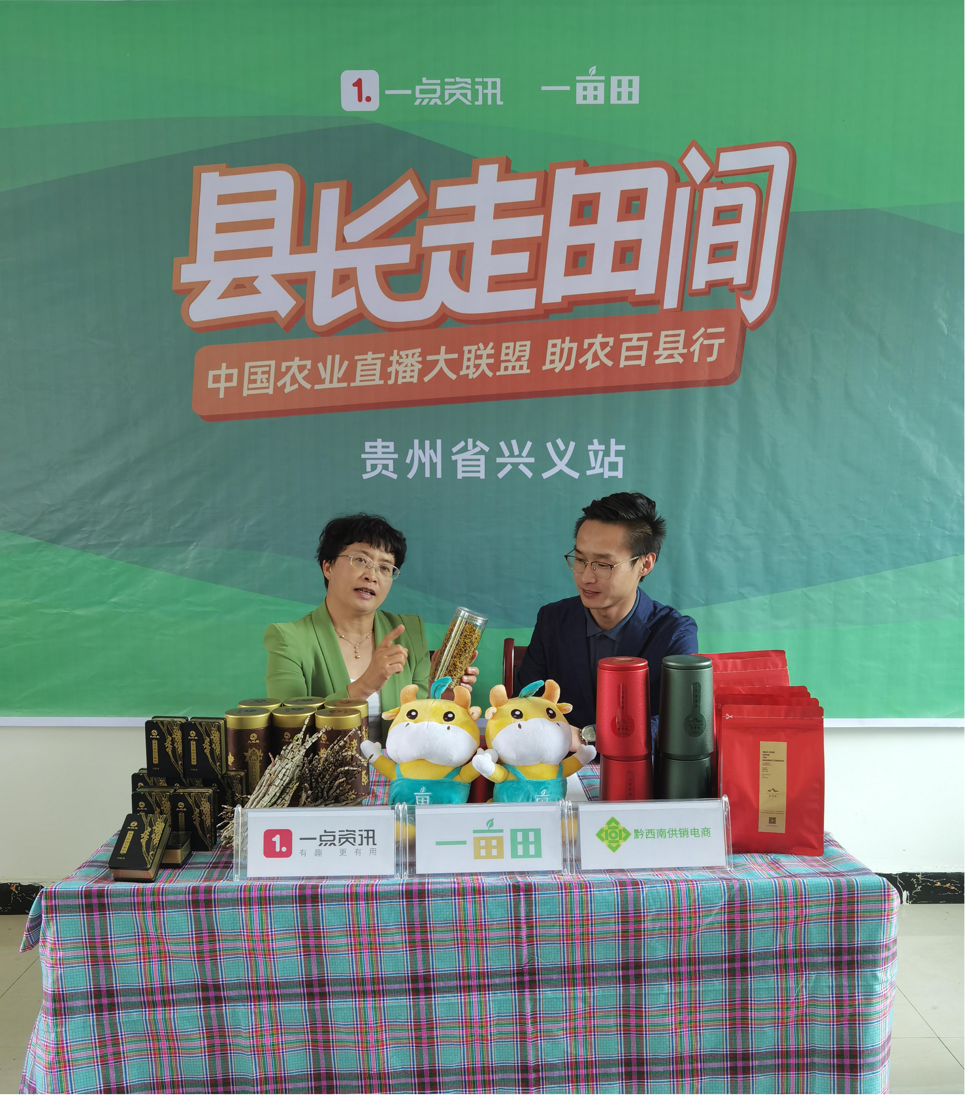 不死仙草石斛,新鲜的铁皮石斛哪里能买到