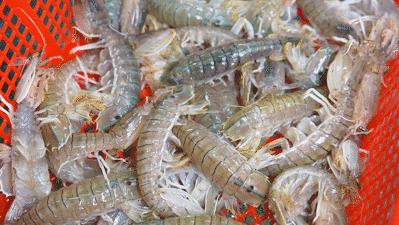 开渔啦一大波海鲜,开渔喽