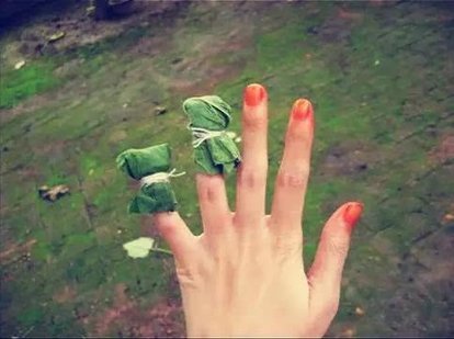 凤仙花是什么植物,凤仙花的特点有哪些