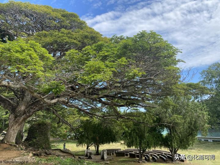 600元玩转澳门三天两夜全攻略,5000块钱玩菲律宾六个海岛