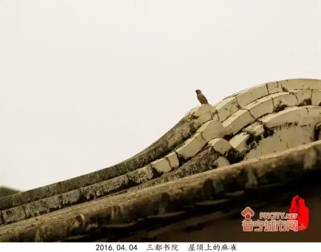 普宁三都中学怎么样,普宁都有哪些学校