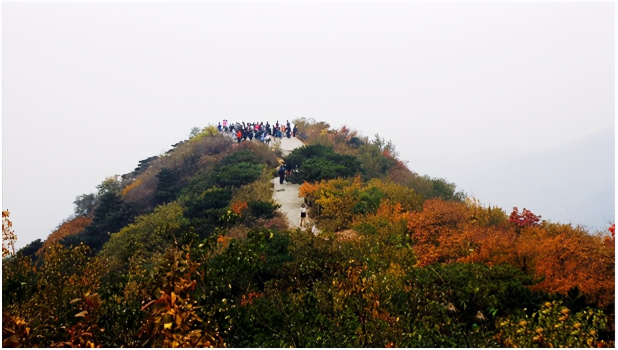 北京香山公园风景视频,北京香山公园