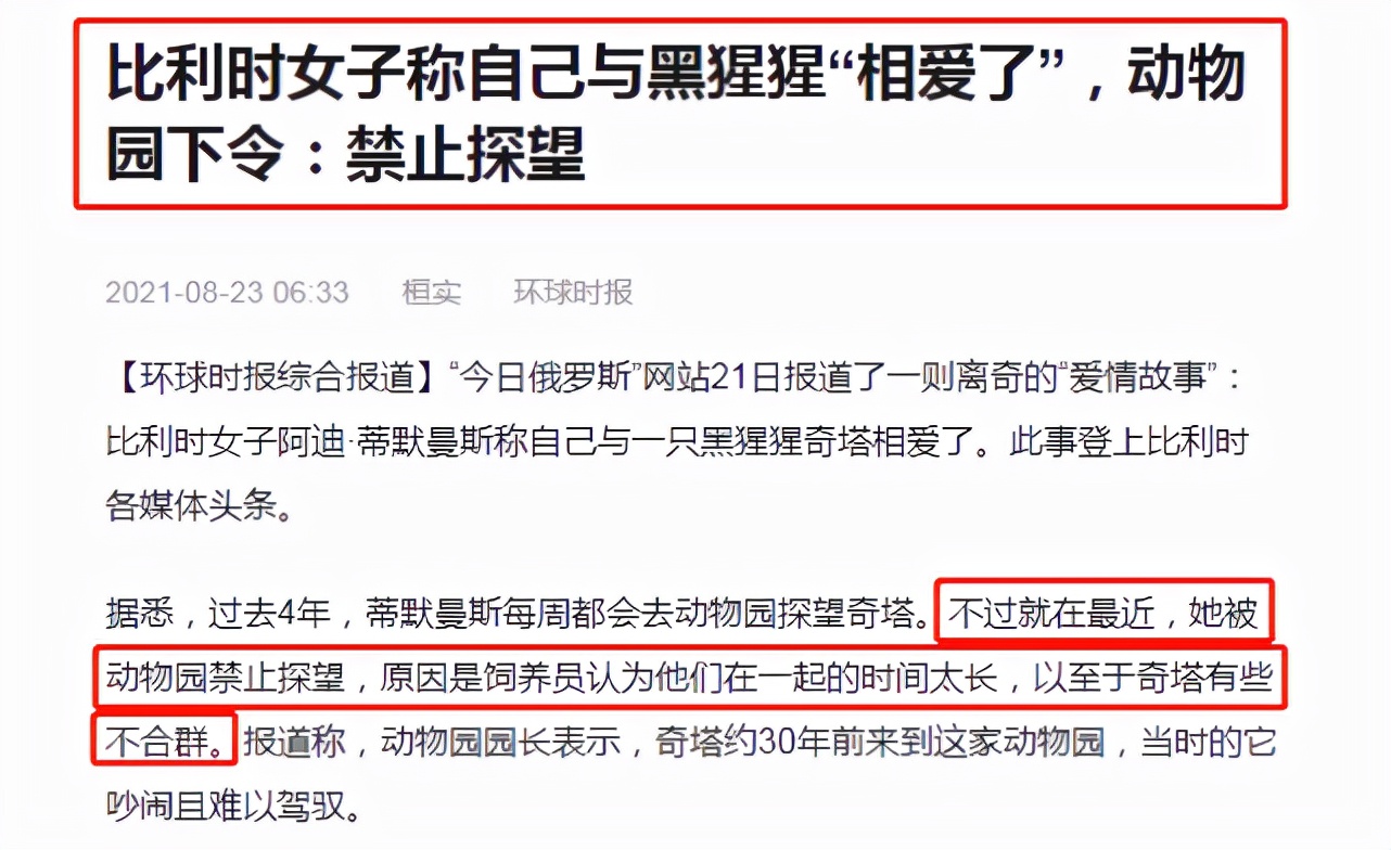 比利时女孩与黑猩猩相爱,比利时女子称与黑猩猩相爱