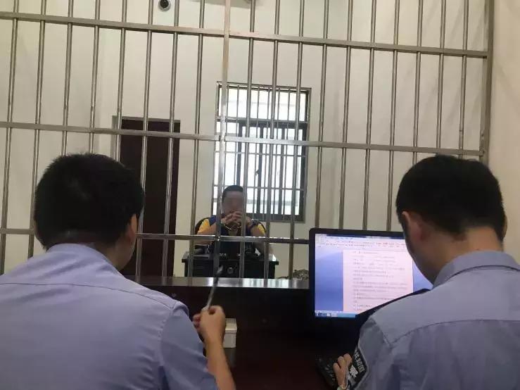 跟着“股神”林老师，稳赚不亏！然而……